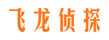 七里河侦探公司